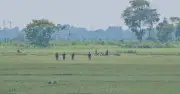 বেনাপোলে পুশইন নিয়ে বিজিবি-বিএসএফ উত্তেজনা, শূন্যরেখায় আটকে মানবেতর জীবন