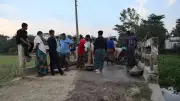 কাউয়াদীঘি হাওরপারে মাছের বেচাকেনা, বিকেলের হাটে জমজমাট দৃশ্য