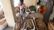 ঈদ শেষে চট্টগ্রামের আছাদগঞ্জে শুঁটকি বাজারে ফিরেছে প্রাণ