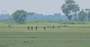 বেনাপোল সীমান্ত থেকে পুশ ইন চেষ্টা ব্যক্তিদের সরিয়ে নিল বিএসএফ