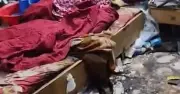 মিরপুরে বৃদ্ধার মরদেহ উদ্ধার: তদন্ত চেয়ে হাইকোর্টে রিট