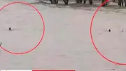 গুলিয়াখালী সৈকতে চার পর্যটককে উদ্ধার, লাল পতাকা টাঙানো