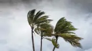 ৯ অঞ্চলে বৃষ্টি-বজ্রপাতের পূর্বাভাস, নদীবন্দরে সতর্ক সংকেত