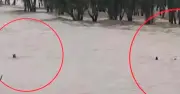 সীতাকুণ্ডে জোয়ারের টানে ভেসে যাচ্ছিলেন চার পর্যটক, গ্রাম পুলিশের সাহসিকতায় উদ্ধার