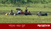 বেনাপোল সীমান্তে পুশইন চেষ্টা: শূন্যরেখা থেকে সরিয়ে নিল বিএসএফ, বিজিবির কঠোর অবস্থান