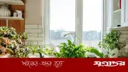 দাবদাহেও সবুজ রাখুন গাছ: গরমে পরিচর্যার কার্যকর উপায়