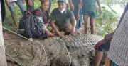 খানজাহান আলী মাজারের কুমির খুলনা পুনর্বাসন কেন্দ্রে নিবিড় পর্যবেক্ষণে