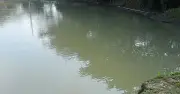 নারায়ণগঞ্জে পুকুরে ডুবে দুই ভাইয়ের মর্মান্তিক মৃত্যু