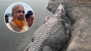 বাংলাদেশের নতুন শিক্ষানীতি ঘোষণা