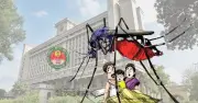 ঢাকা দক্ষিণের ৬৩ ওয়ার্ডে এডিস মশার ঘনত্ব সীমা ছাড়িয়েছে