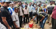 বগুড়ায় ফাঙ্গাসযুক্ত দই সংরক্ষণ করায় ৫০ হাজার টাকা জরিমানা