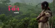 এমি জয়ী 'নিশি' মন্টেনিগ্রোর পরিবেশ চলচ্চিত্র উৎসবে