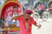 পরিবেশ রক্ষা কেবল এক দিনের নয়, প্রতিদিনের দায়িত্ব
