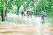 বিশ্ব পরিবেশ দিবস: স্মরণিকা নয়, সতর্কবার্তা