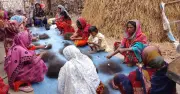 দিনাজপুরে চুল বাছাইয়ের কাজ করছেন ১৬ নারী, দৈনিক মজুরি ৭০ টাকা