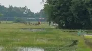 পঞ্চগড়ে বিএসএফের পুশ ইন চেষ্টা, বিজিবির বাধায় শূন্যরেখায় ১০ জন