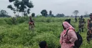 ভারতের সীমান্তরক্ষীদের পুশব্যাক চেষ্টা প্রতিহত করল বিজিবি