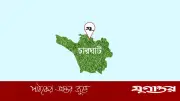 চারঘাটে সরকারি আমগাছের ফল ভাগ-বাটোয়ারার অভিযোগ