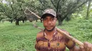 আমবাগানের কাজে ৩৫ বছরের রুহুল আমীনের জীবনগল্প