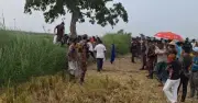 নওগাঁ সীমান্তে পুশ ইন ব্যর্থ, ১৭ জনকে ফেরত নিল বিএসএফ