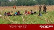 পুশইনে ব্যর্থ হয়ে ফিরিয়ে নিল ভারত, ৩৩ জন ফেরত