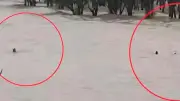 সীতাকুণ্ডের গুলিয়াখালী সৈকতে পর্যটকদের জন্য বাড়ছে মৃত্যুঝুঁকি