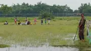 পঞ্চগড় সীমান্তে শূন্যরেখায় আটকে থাকা ১০ জন: কোনো সমাধান নেই