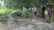 গোমস্তাপুর সীমান্তে বিএসএফ ২৮ জনকে ফিরিয়ে নিল, পাচারকারী আটক