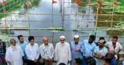 দেশীয় মাছের প্রজাতি রক্ষায় সফল প্রকল্প