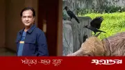 আসিফের আবেদন: প্লিজ অবুঝ প্রাণীটির প্রতি রহম করুন