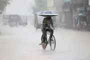 ঝুম বৃষ্টির মাঝে ছাতা মাথায় সাইকেল চালাচ্ছেন এক ব্যক্তি