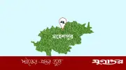 মহেশপুরে বাঁওড়ের মেহগনি গাছ কাটার অভিযোগ বিএনপি নেতার বিরুদ্ধে