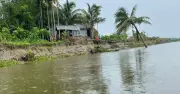 মেঘনা নদীর ভাঙনে লক্ষ্মীপুরের রায়পুরে ১২ কিলোমিটার এলাকা ঝুঁকিতে