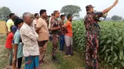 মেহেরপুরে বিএসএফের পুশইন প্রচেষ্টা ব্যর্থ, ছয়জনকে ফেরত নেওয়া হয়েছে