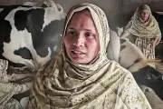 বাংলাদেশের নবম জাতীয় সংসদ নির্বাচন: ইতিহাসের পাতায় এক নজর