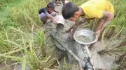বৃষ্টি ও ঈদের ছুটির পর শিক্ষাপ্রতিষ্ঠান খোলা, নানা দৃশ্য