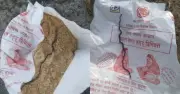 মধ্যপ্রদেশে পুষ্টিকর খাবারের প্যাকেটে মৃত সাপের বাচ্চা