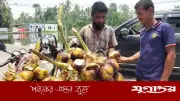 ফকিরহাটে তাল শাঁসে কোটি টাকার বাণিজ্য, গ্রামীণ অর্থনীতিতে নতুন সম্ভাবনা