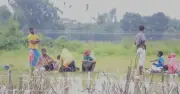 পঞ্চগড় সীমান্তে শূন্যরেখায় আটকে ১০ নারী-পুরুষ ও শিশু, বিজিবি-বিএসএফ বৈঠকেও সমাধান নেই