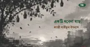 সবেদা গাছের নিচে সবুজের একাকী সন্ধ্যা