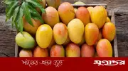 প্রতিদিন আম খাওয়ার উপকারিতা জানুন