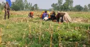 ভারতীয় বিএসএফ ১১ জনকে ফেরত নিল ঠাকুরগাঁও সীমান্ত থেকে