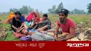 সীমান্ত শূন্যরেখা থেকে ১১ জনকে ফিরিয়ে নিল বিএসএফ