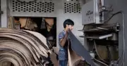 রপ্তানি ঝুড়ি বৈচিত্র্যকরণে চামড়া শিল্পের সম্ভাবনা বাস্তবায়ন জরুরি