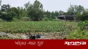 মির্জাপুরে অবৈধ বালু উত্তোলন, ছাত্রলীগ নেতার বিরুদ্ধে অভিযোগ