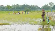 নতুন সরকারের ওপর পুশ ইনের সুনামি: সীমান্তে মানবিক বিপর্যয়