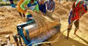১০ হাজার কোটি টাকার নতুন পুনঃঅর্থায়ন তহবিল গঠন করল বাংলাদেশ ব্যাংক