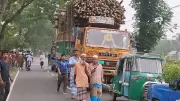 টাঙ্গাইলে বাঁশবোঝাই ট্রাকের পেছনে পিকআপের ধাক্কায় নিহত ৪
