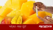 ডায়াবেটিস রোগীদের জন্য আম খাওয়ার সঠিক নিয়ম ও সতর্কতা