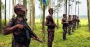 বিজিবির কঠোর অবস্থানে বিএসএফের পুশইন প্রচেষ্টা ব্যর্থ